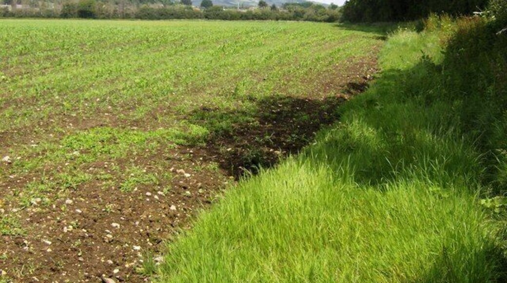 Footpath towards Merstone The path skirts the south-eastern edge of this field, heading towards Merstone. It meets National Cycle Network route 23 (on the old railway line) at the hedge at the end of the field.