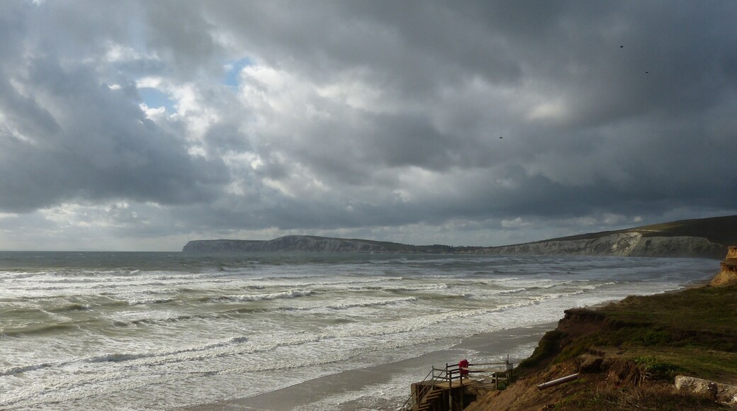 South Wight. An autumn gale.