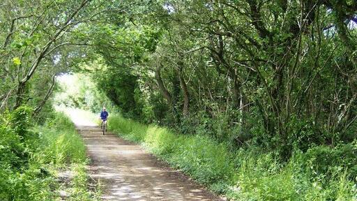 Cyclist on NCN 23 The old Sandown to Newport railway line now forms a level traffic-free cycle route between the same towns, here being enjoyed by one cyclist.