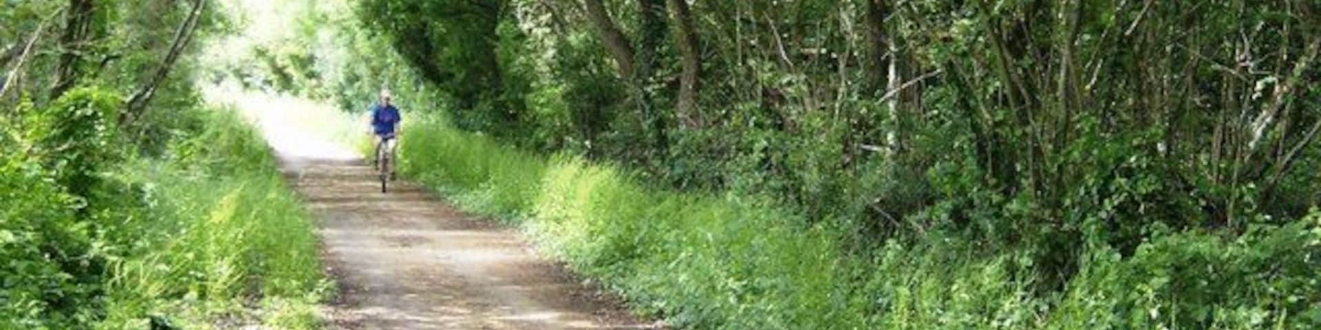 Cyclist on NCN 23 The old Sandown to Newport railway line now forms a level traffic-free cycle route between the same towns, here being enjoyed by one cyclist.