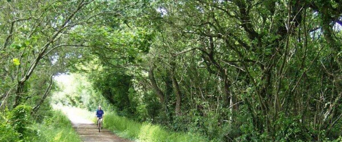 A narrow, tree-lined path with a cyclist in the distance.