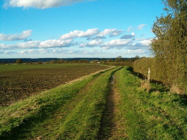 Farmland Track The farm track heads north, but the public footpath, markered by the post on the right, heads west across the field.