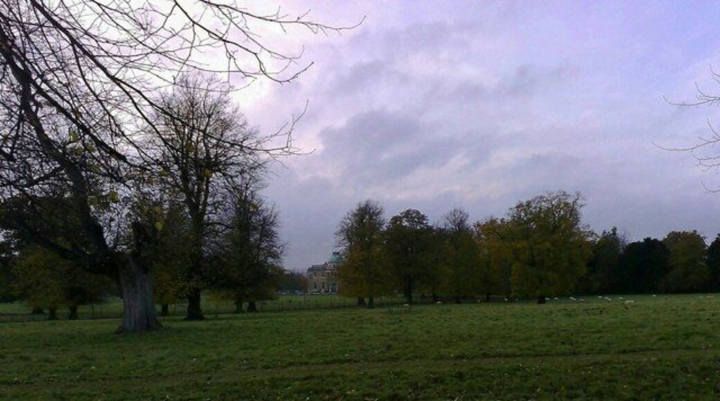 Newly Mown Footpath A freshly mown footpath across the Park at Tyringham Hall.