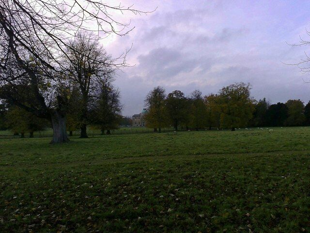A grassy field with trees and a cloudy sky.