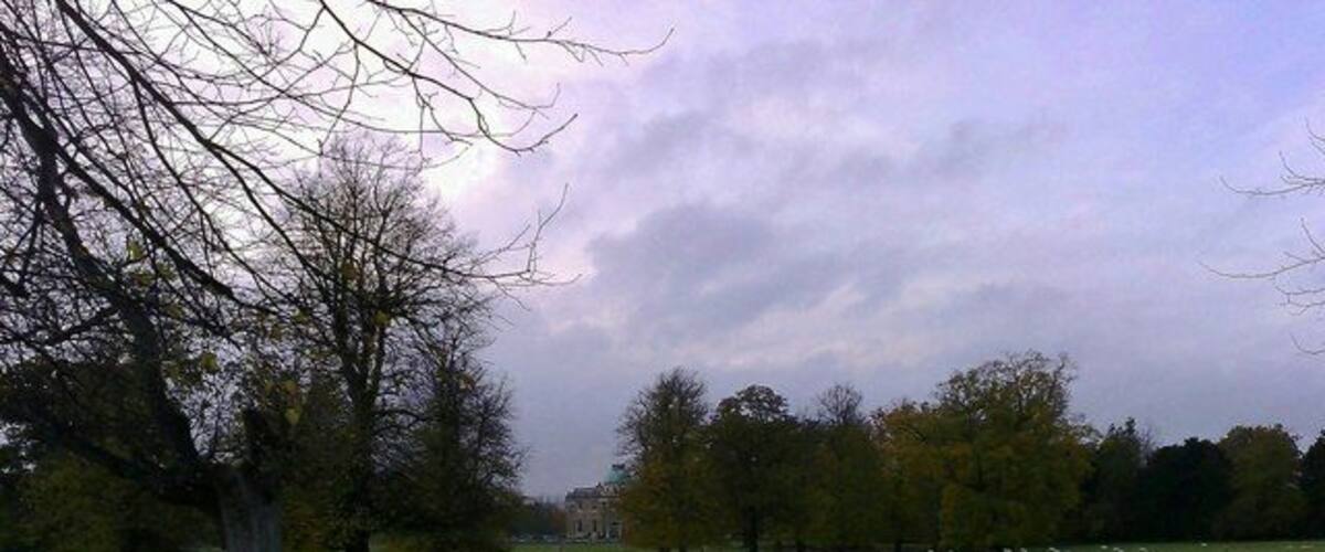A grassy field with trees and a cloudy sky.