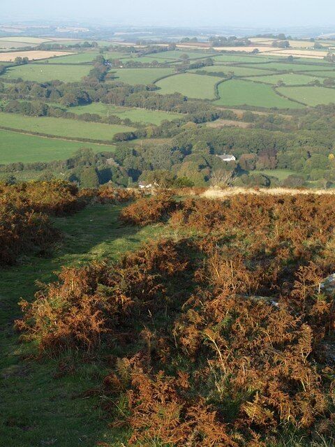 Bracken above Nine Stones A view down the line of South Tawton Bridleway 36 as it drops increasingly steeply down the edge of the moor. The prominent "Moor View" among the trees is in SX6592.