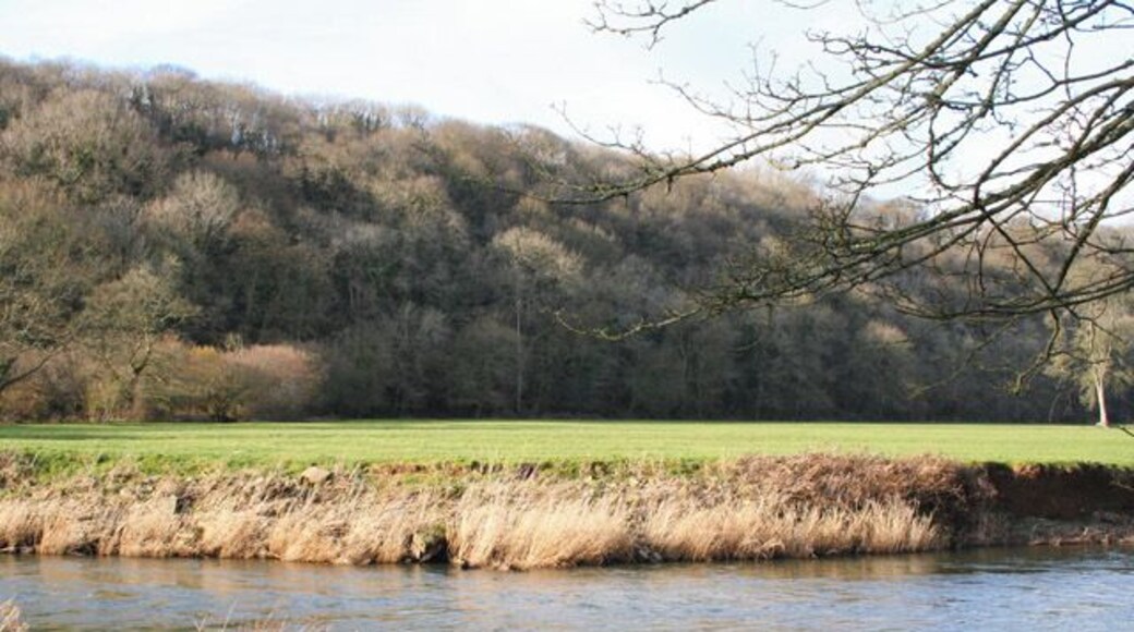Iddesleigh: The Torridge. Seen just below its confluence with the Okement, near Bridge Town. If there was a bridge here, and the indications are that there was, there is no evidence on the ground today. Looking roughly north west