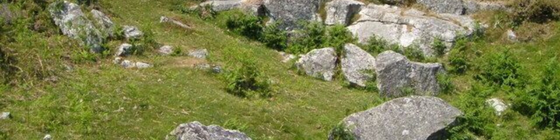 Shilstone Tor. Right at the edge of the moor, just a few yards from the road near Throwleigh, this small tor has apparently been quarried, perhaps to build the superb longhouse close by at Higher Shilstone.
