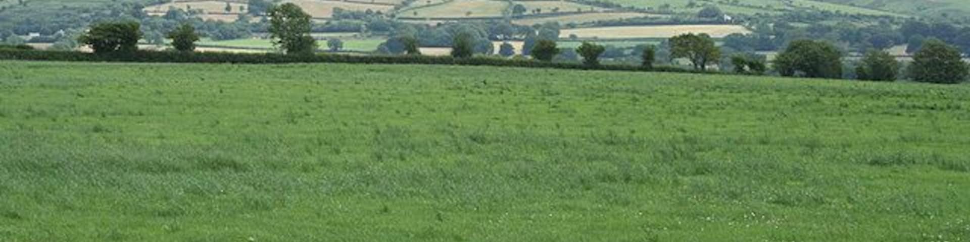 Sourton: towards Dartmoor .. ..With Sourton Tors the outcrops to the left. Looking east-south-east
