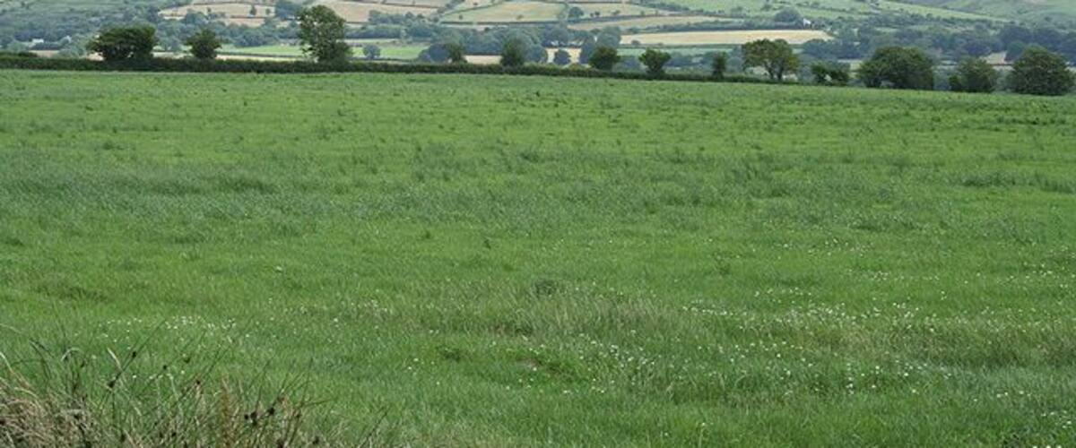 A green field with a distant view of rolling hills and scattered trees.