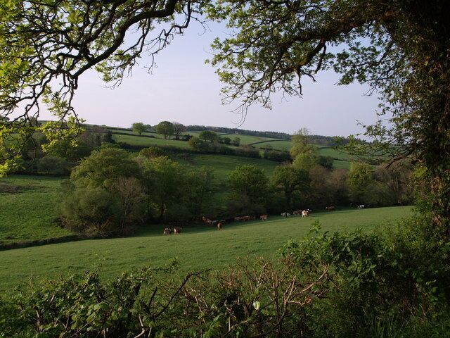 View at Waddlestone From the lane between Hedge Cross and Eastcott, a view across a valley and fields just to the west of Warson Barton Farm.