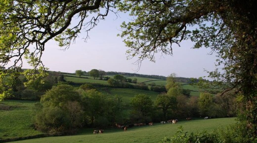 View at Waddlestone From the lane between Hedge Cross and Eastcott, a view across a valley and fields just to the west of Warson Barton Farm.