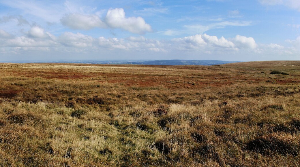 This shows the South Zeal track and Raybarrow pool on northern northern Dartmoor, Devon, UK. The track is one of the ancient cross moor tracks used over many years prior to roads. Raybarrow pool is one of the larger area of peat bogs on the moors.