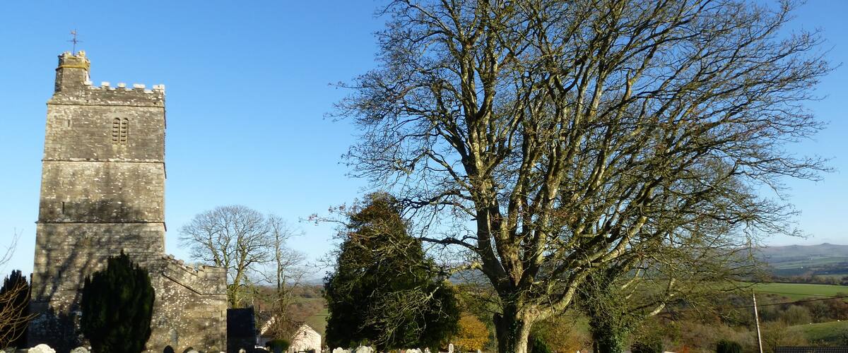 A historic tower, a large leafless tree, and numerous gravestones in a cemetery.