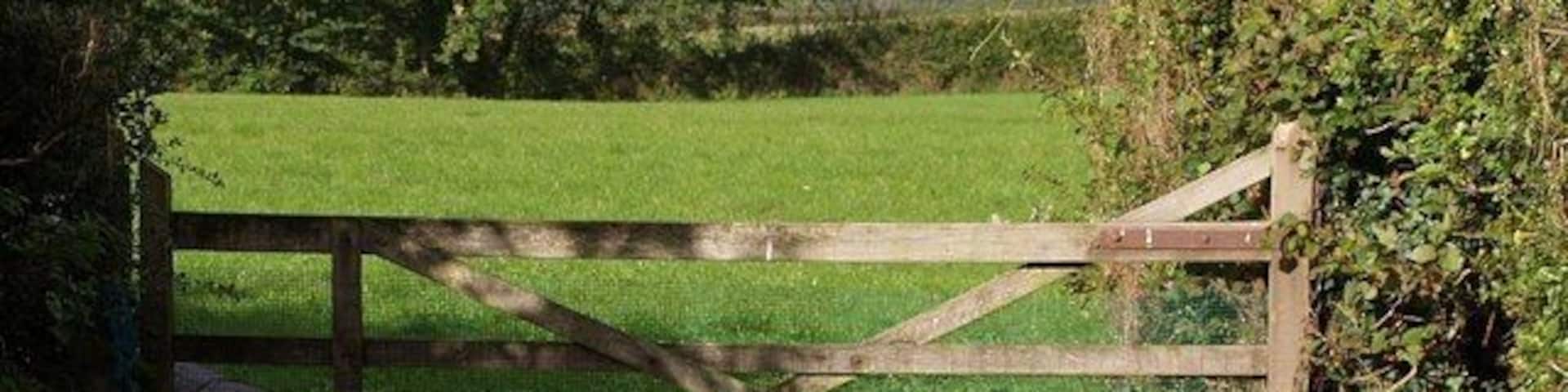 Hen and gate, Meeth The end of a short field access track off the A386 at the northern edge of Meeth.
