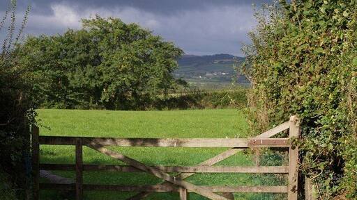 Hen and gate, Meeth The end of a short field access track off the A386 at the northern edge of Meeth.
