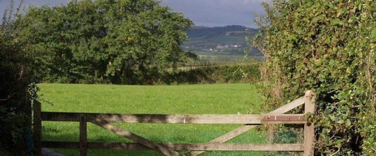 A wooden gate in a rural setting with a chicken near the gate.