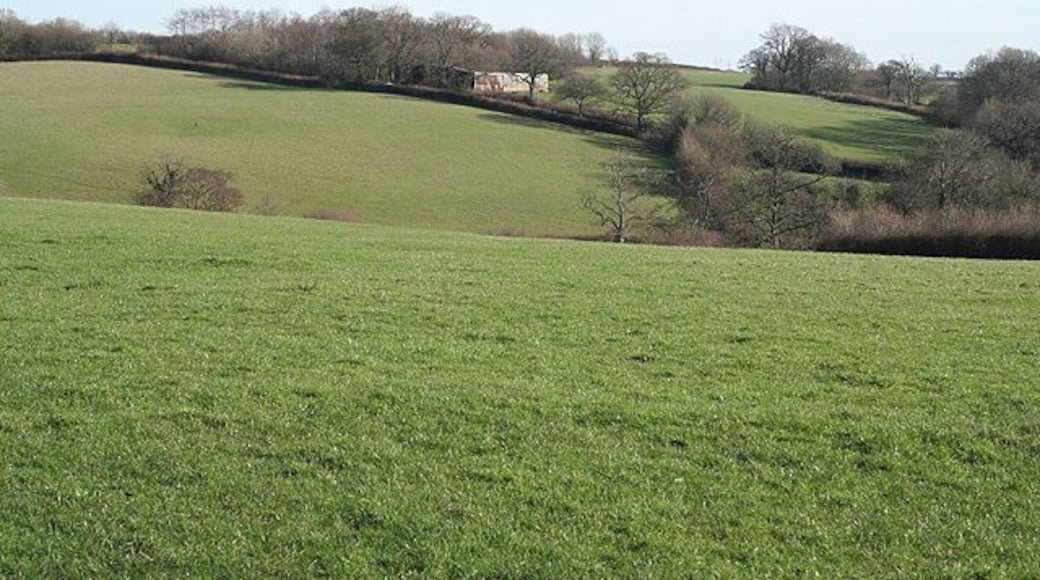 Exbourne: between the village and Lower Narracott Looking east across the Hole Brook valley