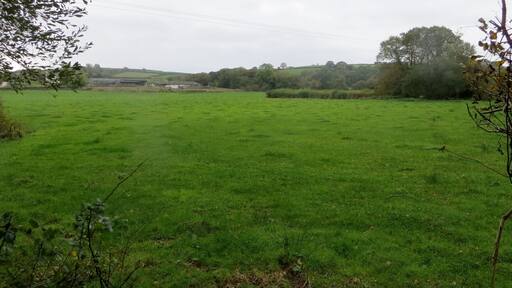 Looking out from the woods - October 2014