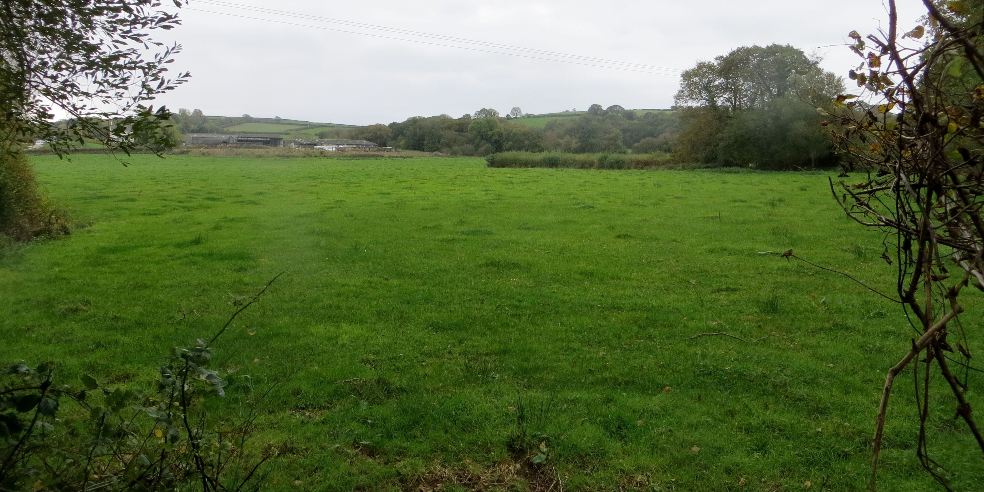 A green field with trees and buildings in the distance.