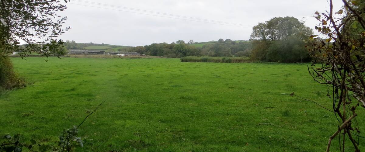 A green field with trees and buildings in the distance.