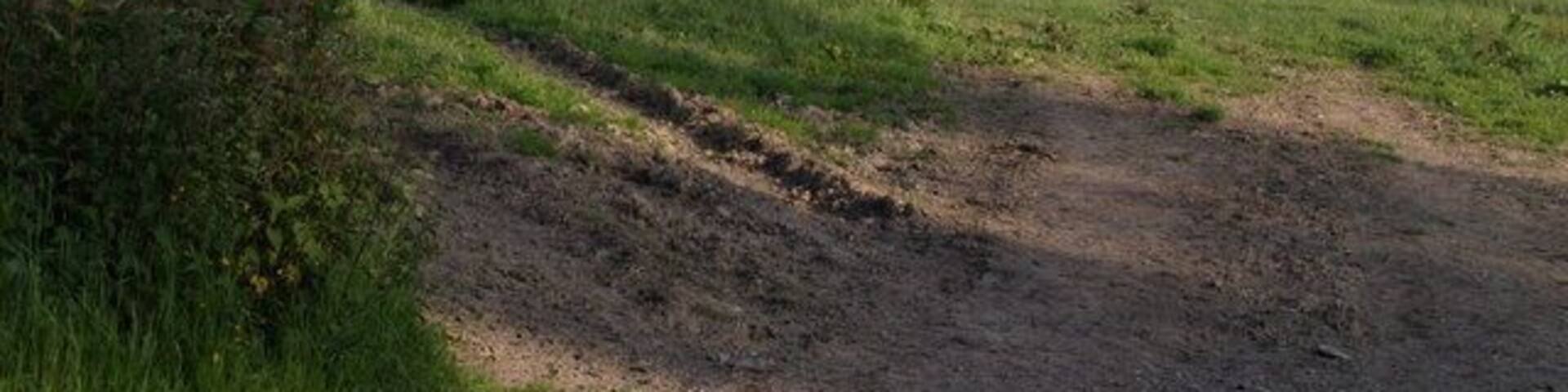 Thrushel valley near Hayne A view from the lane between Stowford and Hayne. The Thrushel's course follows the second line of trees, and left of centre of the photo it is running close to the northern edge of the square. The farm in the distance, beyond North Plantation, is East Rowden in SX4187.