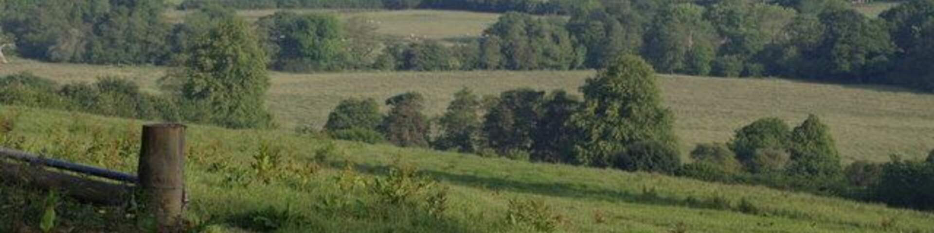 Thrushel valley near Hayne A view from the lane between Stowford and Hayne. The Thrushel's course follows the second line of trees, and left of centre of the photo it is running close to the northern edge of the square. The farm in the distance, beyond North Plantation, is East Rowden in SX4187.