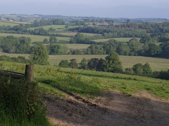 A rural landscape with rolling fields, a dirt path, and scattered trees.