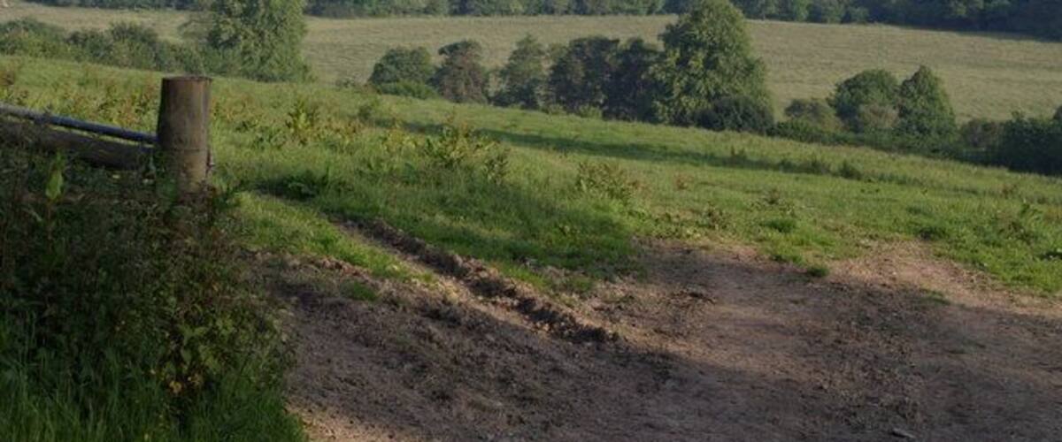 A rural landscape with rolling fields, a dirt path, and scattered trees.