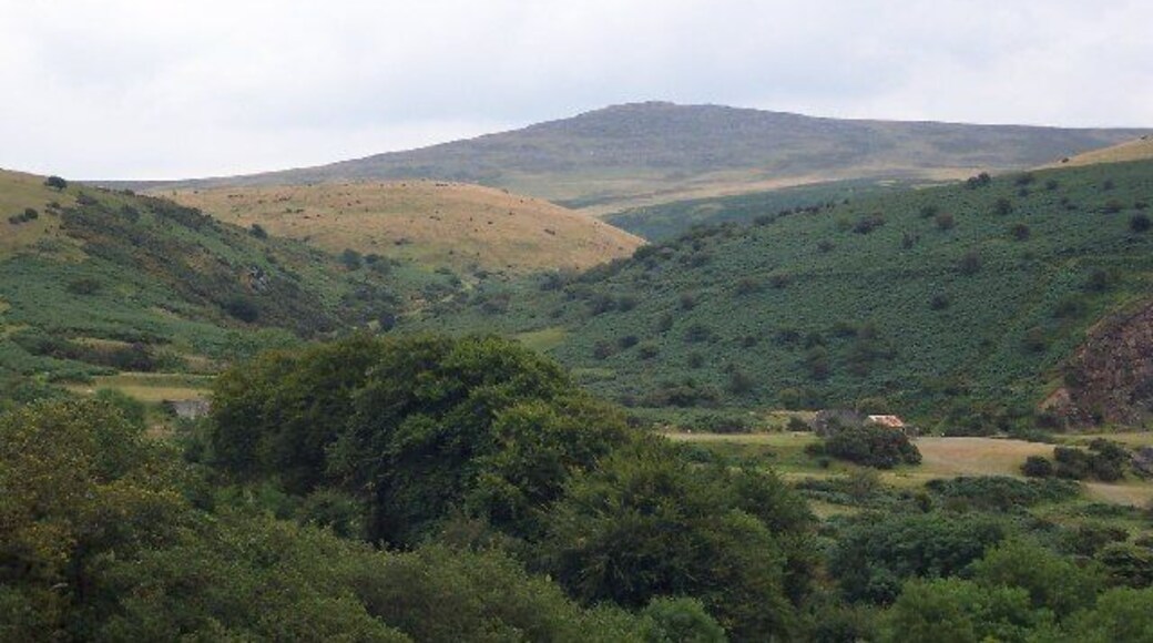 Yes Tor. Dartmoor's second highest peak, at 2028 feet. Pic taken from Meldon viaduct