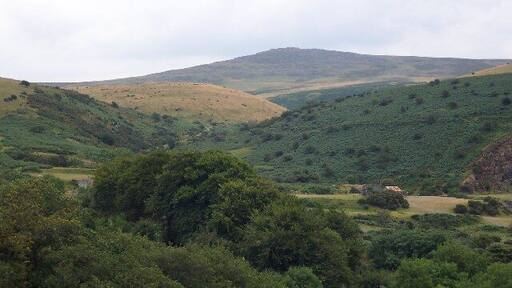 Yes Tor. Dartmoor's second highest peak, at 2028 feet. Pic taken from Meldon viaduct