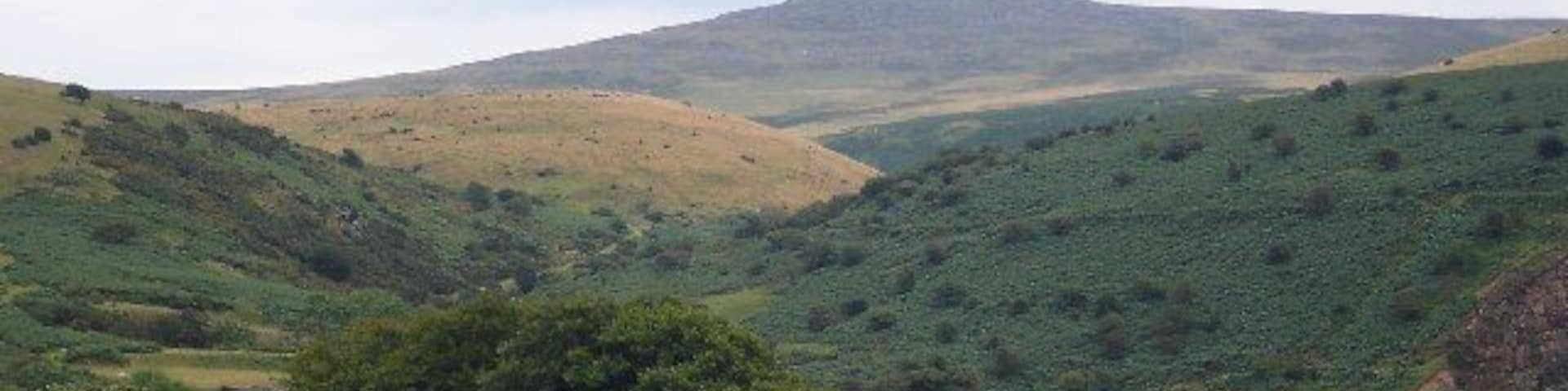 Yes Tor. Dartmoor's second highest peak, at 2028 feet. Pic taken from Meldon viaduct