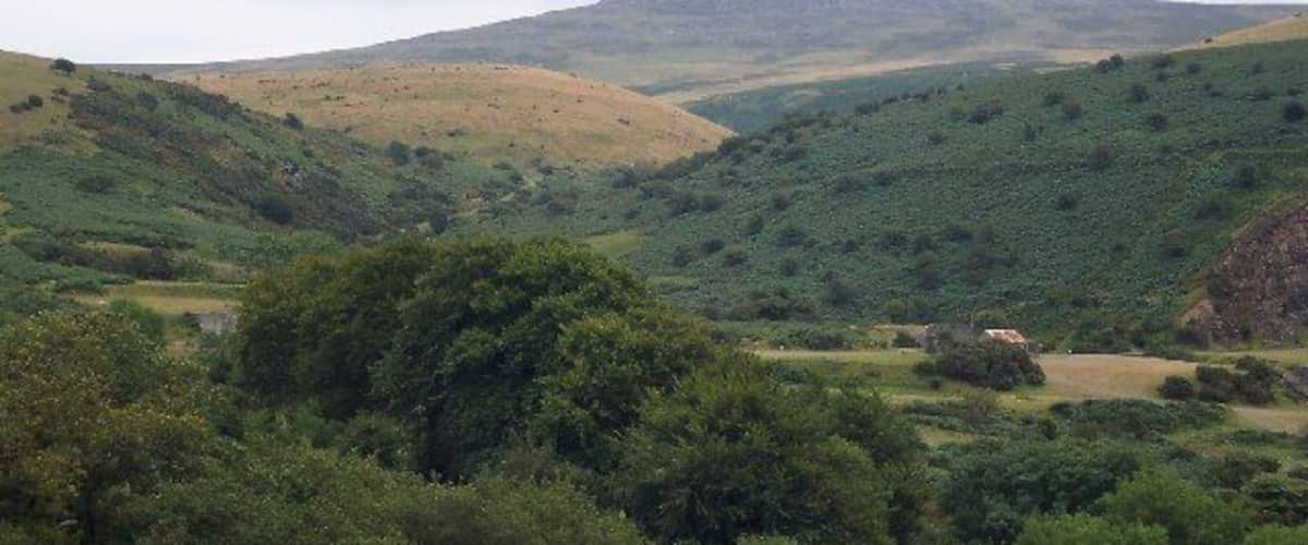 A valley with rolling hills, dense greenery, and a small structure in the distance.