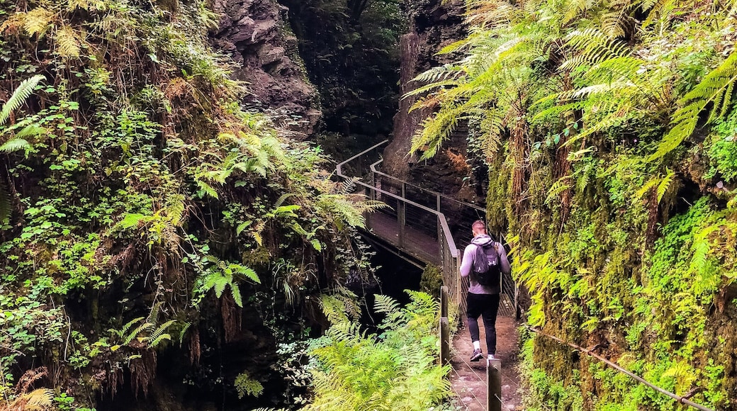 A little hike around Lydford gorge - @nationaltrust
DroppSociety.com
