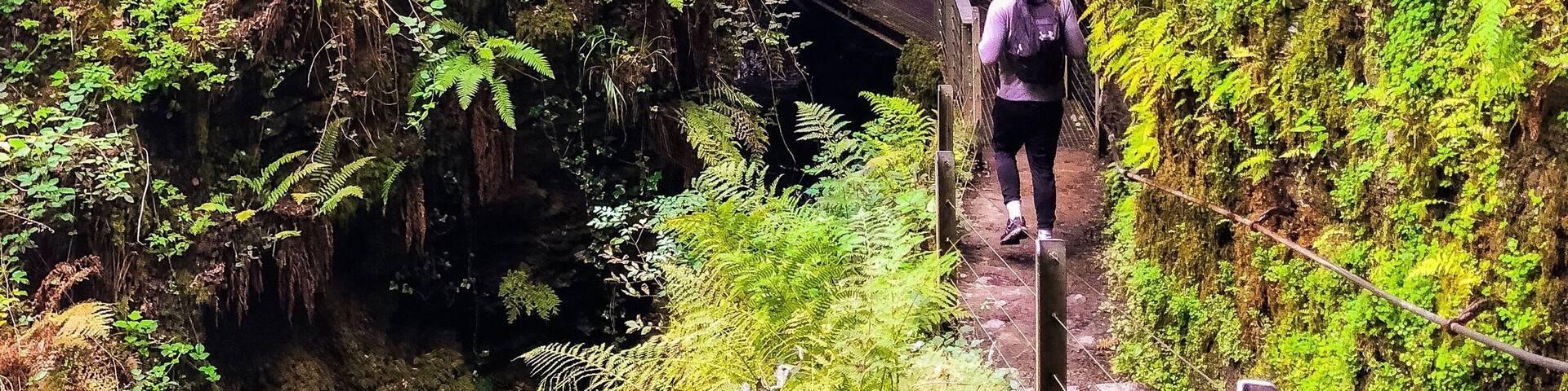 A little hike around Lydford gorge - @nationaltrust
DroppSociety.com