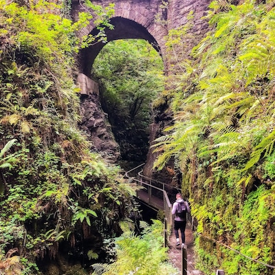 A little hike around Lydford gorge - @nationaltrust
DroppSociety.com