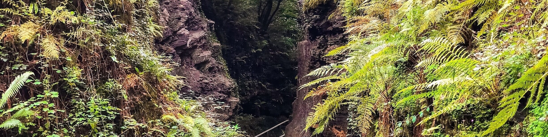 A little hike around Lydford gorge - @nationaltrust
DroppSociety.com