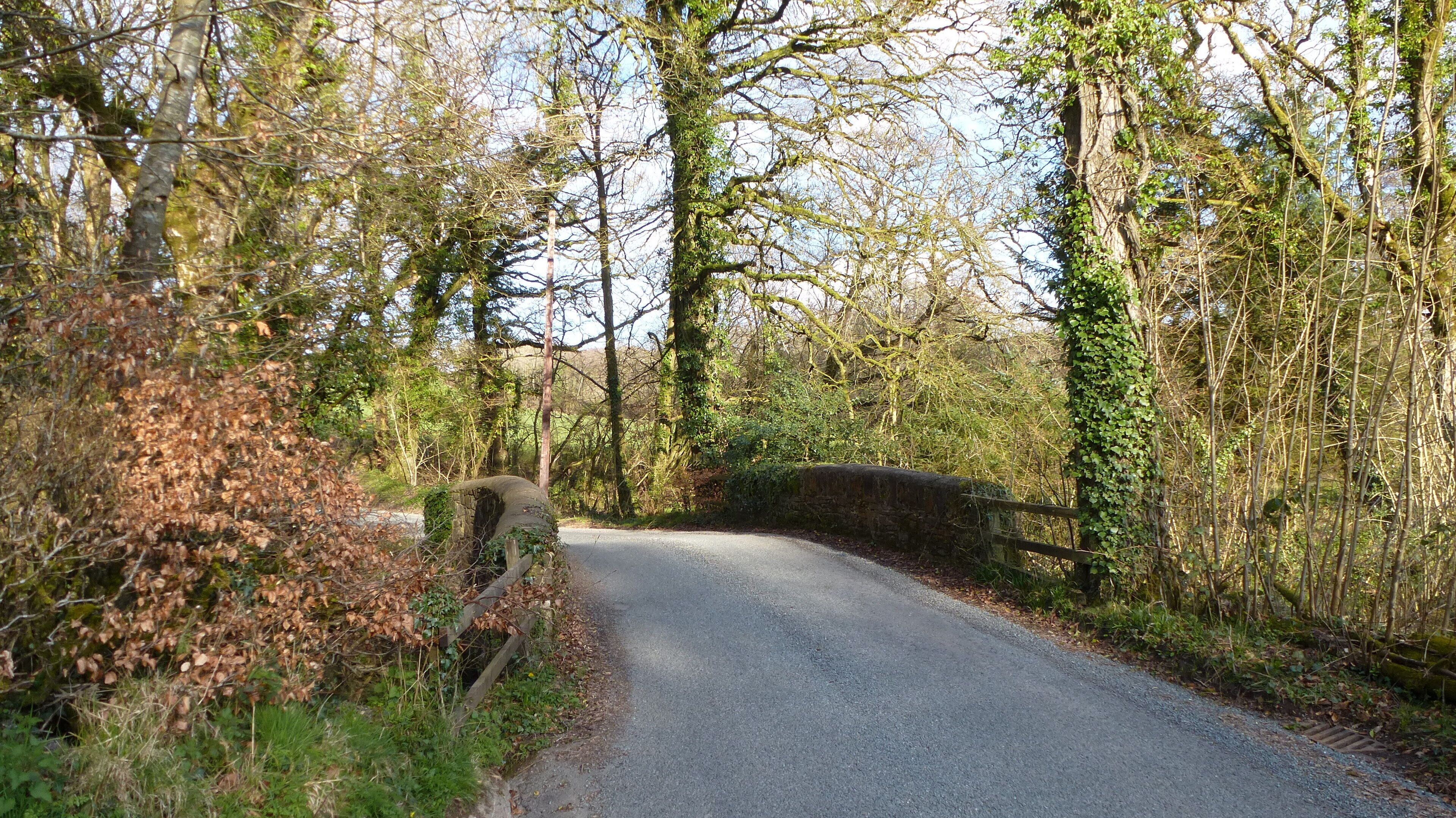 Bridge near Bratton Clovelly.
