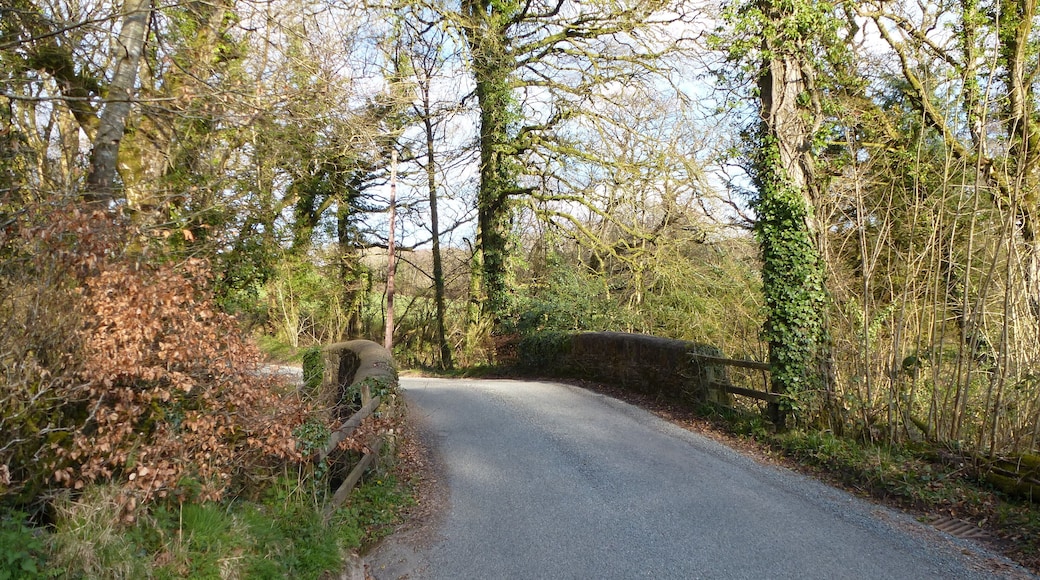 Bridge near Bratton Clovelly.