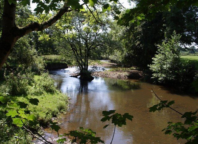 River Lew The Lew, flowing towards the camera, seen from Hatherleigh Footpath 1. A tree, probably an alder, seems to have become marooned as an island.