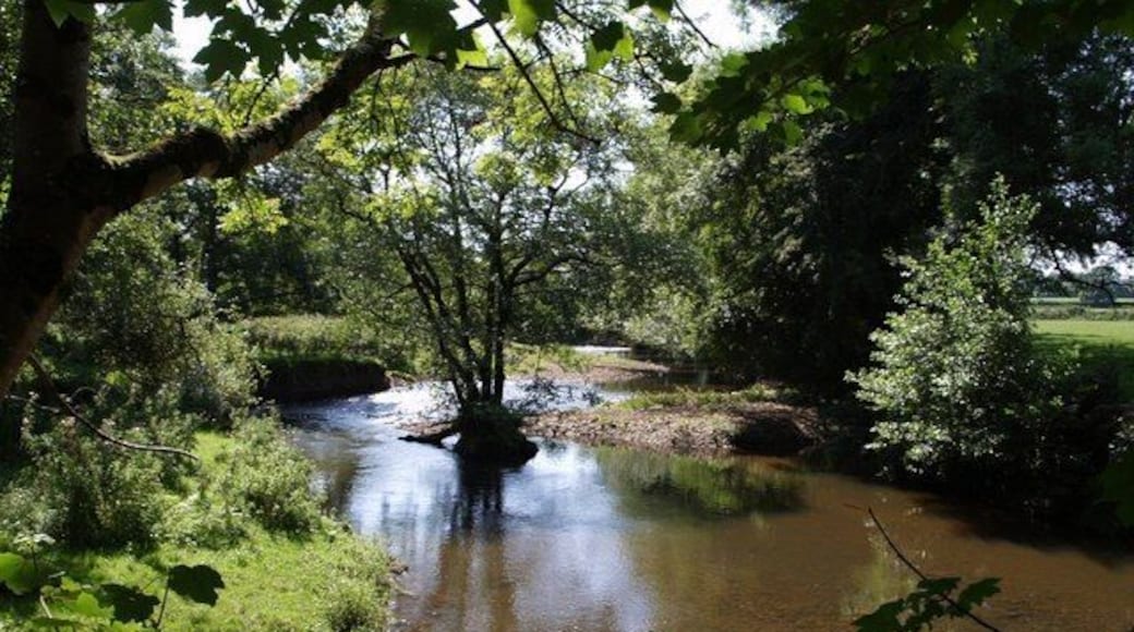 River Lew The Lew, flowing towards the camera, seen from Hatherleigh Footpath 1. A tree, probably an alder, seems to have become marooned as an island.