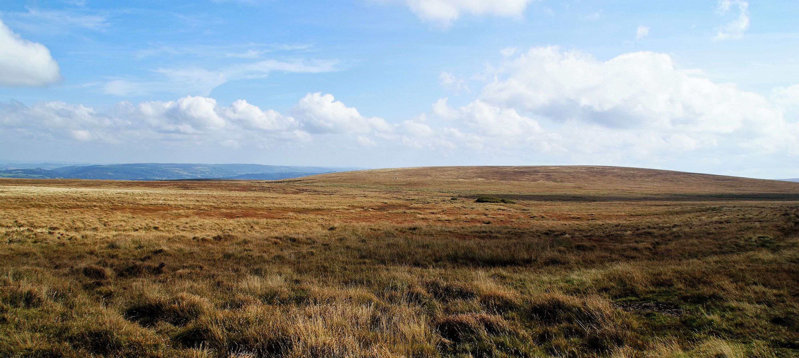 A view of Raybarrow pool on northern Dartmoor, Devon, UK. This is one of the larger area of peat bogs on the moors.