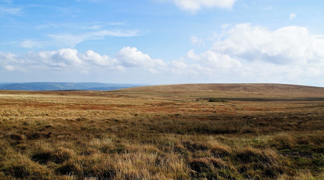 A view of Raybarrow pool on northern Dartmoor, Devon, UK. This is one of the larger area of peat bogs on the moors.