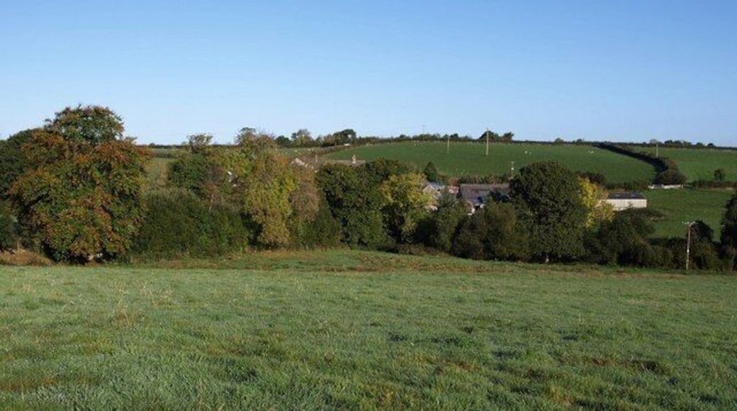Towards Mill Farm. Looking across 1548800 from Drewsteignton Footpath 8. The farm, largely concealed behind trees, lies just across the Fingle Brook.