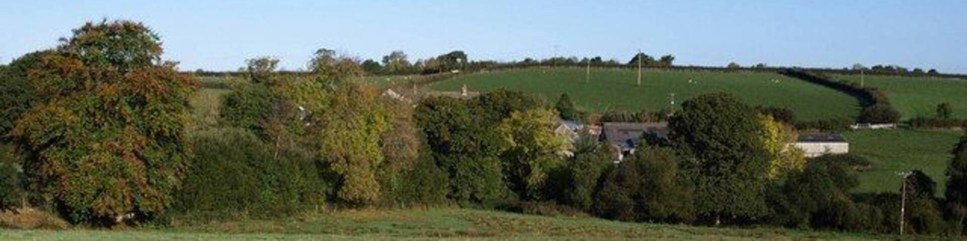 Towards Mill Farm. Looking across 1548800 from Drewsteignton Footpath 8. The farm, largely concealed behind trees, lies just across the Fingle Brook.