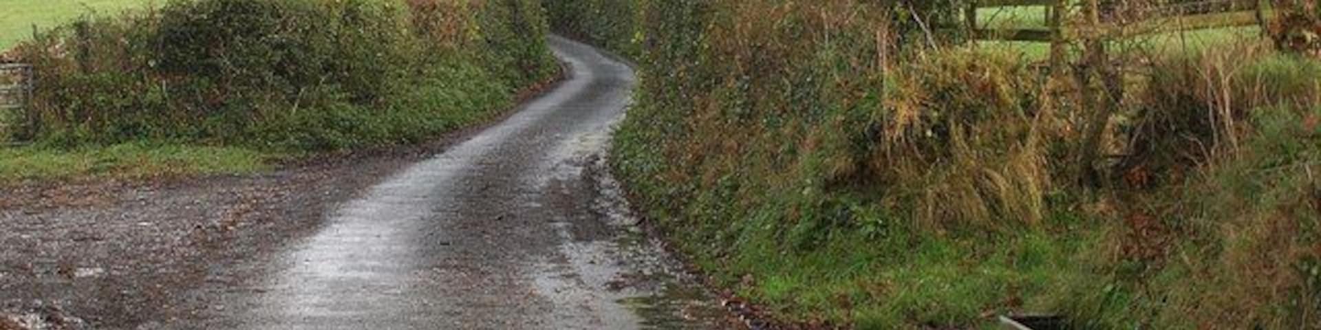 Lane near Taw Green The lane from Taw Green northwards, which forms a through route between South and North Tawton. On the right is an overflowing water trough.
