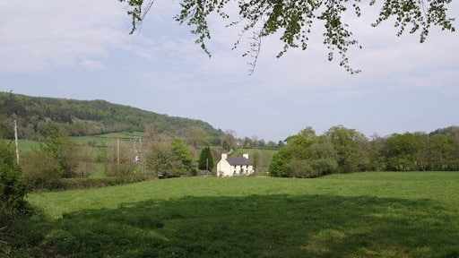 Ford Cottage A view from Lowertown, northeast of Coryton. On the left, above the fields, Lew Wood rises to Eastcott Beacon (the summit of the ridge is just out of square). Beyond the cottage, the lane climbs towards Eastcott.