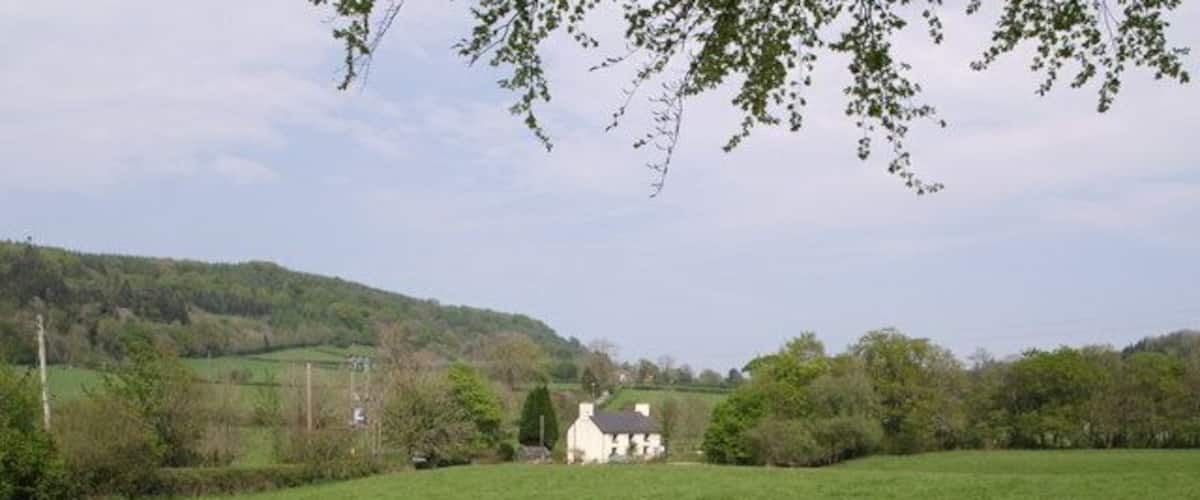 A rural landscape with a white house, green fields, and a hill in the background.