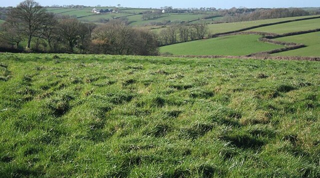 North Tawton: towards Northweek The farms near the skyline are on the far side of the Taw valley. Looking west