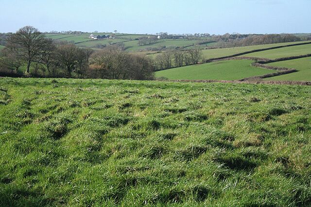 A green field with rolling hills and a tree in the distance.